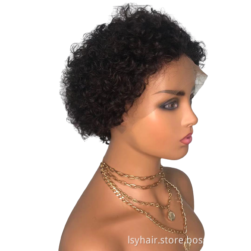 Hot Selling Short Pixie Curly Wig Lace Front Virgin Human Hair Wig For Black Women Pre Plucked With Baby Hair Natural Hair Wigs